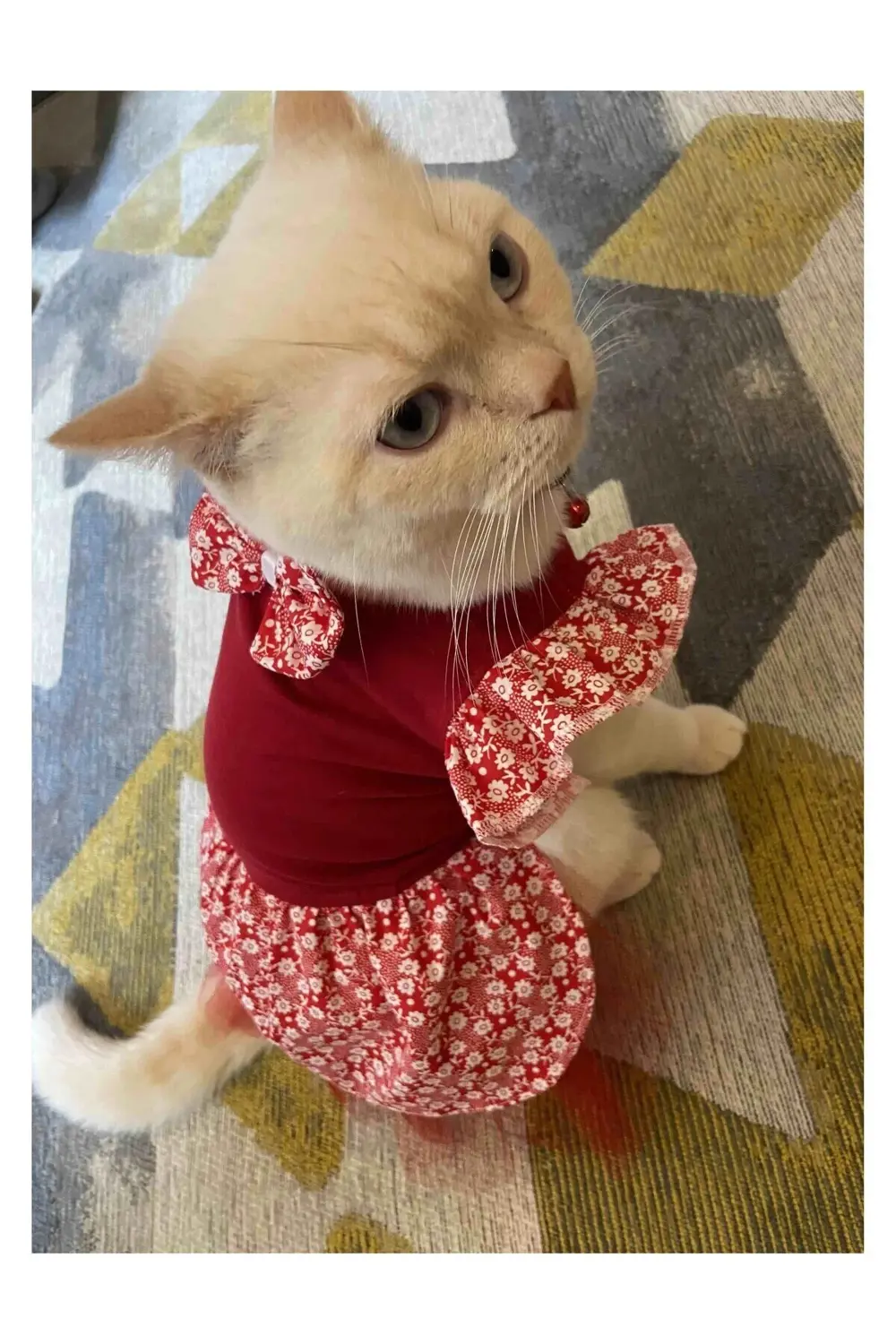 Çiçek Desenli Papyonlu Kırmızı Kedi Köpek Kıyafeti Elbisesi Small