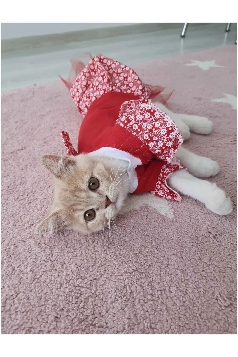 Çiçek Desenli Papyonlu Kırmızı Kedi Köpek Kıyafeti Elbisesi Small