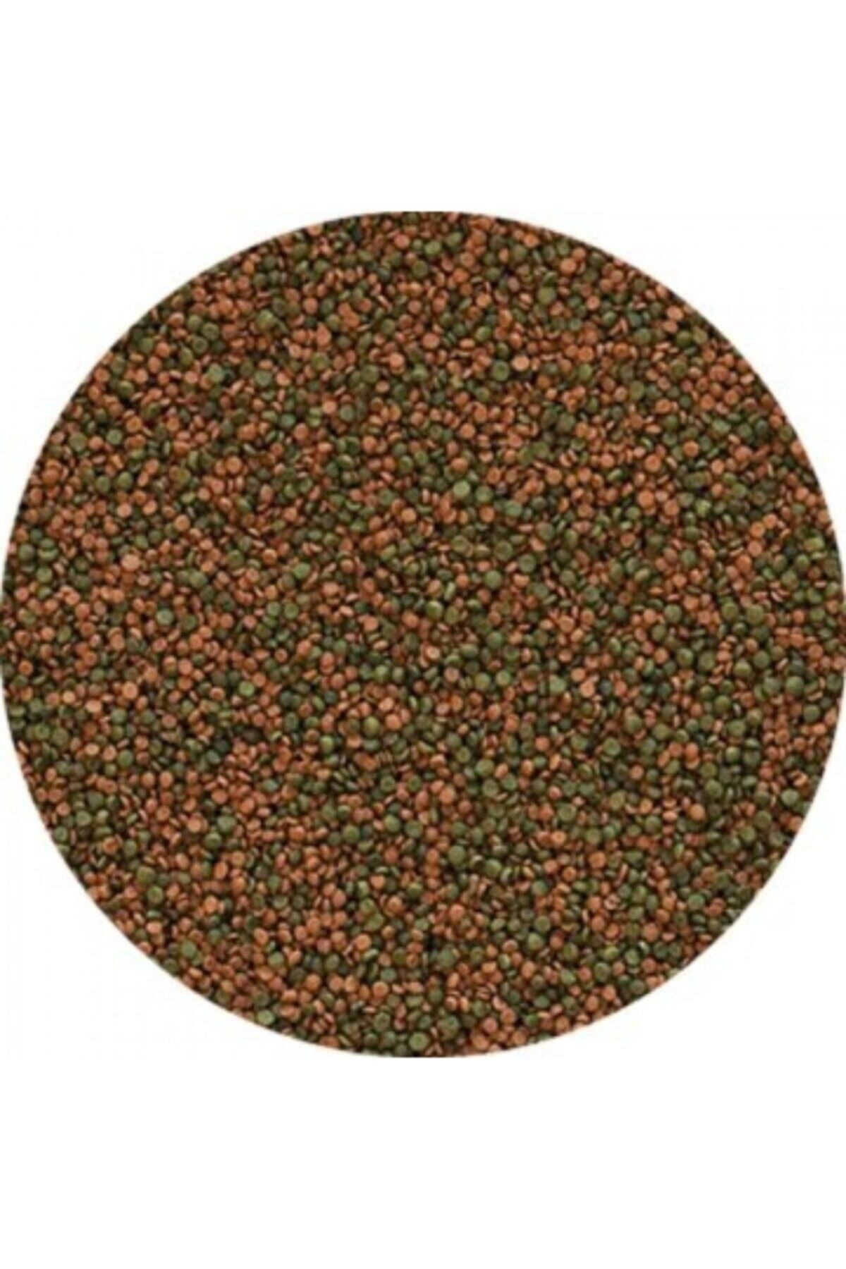 Cıchlıd Gran 100 Gr. Çiklet Balık Yemi