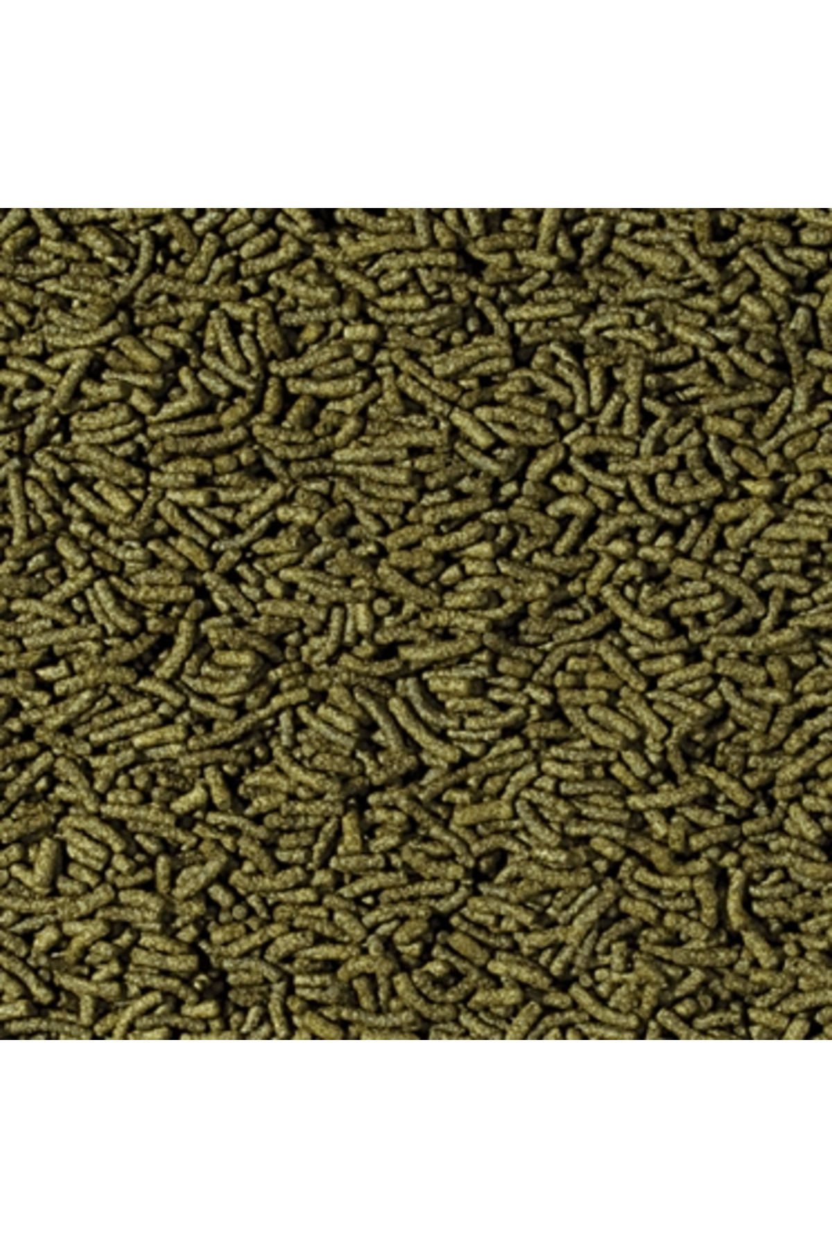 Cichlid Spirulina Medium Sticks 100 Gr Açık