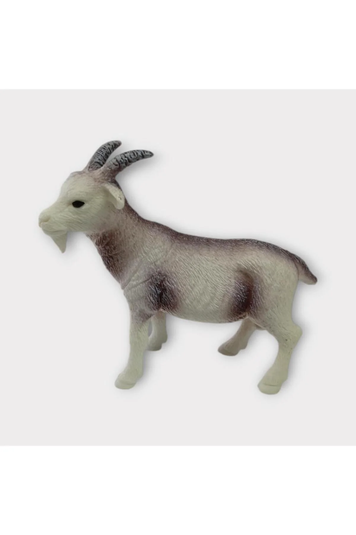 Çiftlik Hayvanları - Keçi (Lisinya)