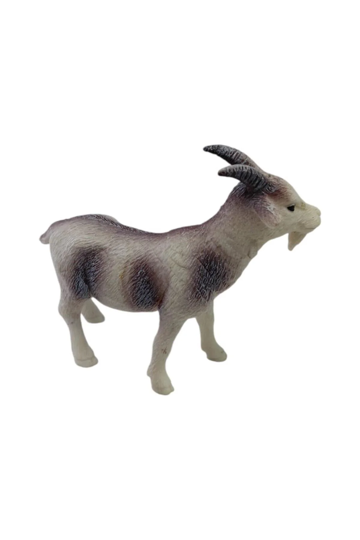 Çiftlik Hayvanları - Keçi (Lisinya)