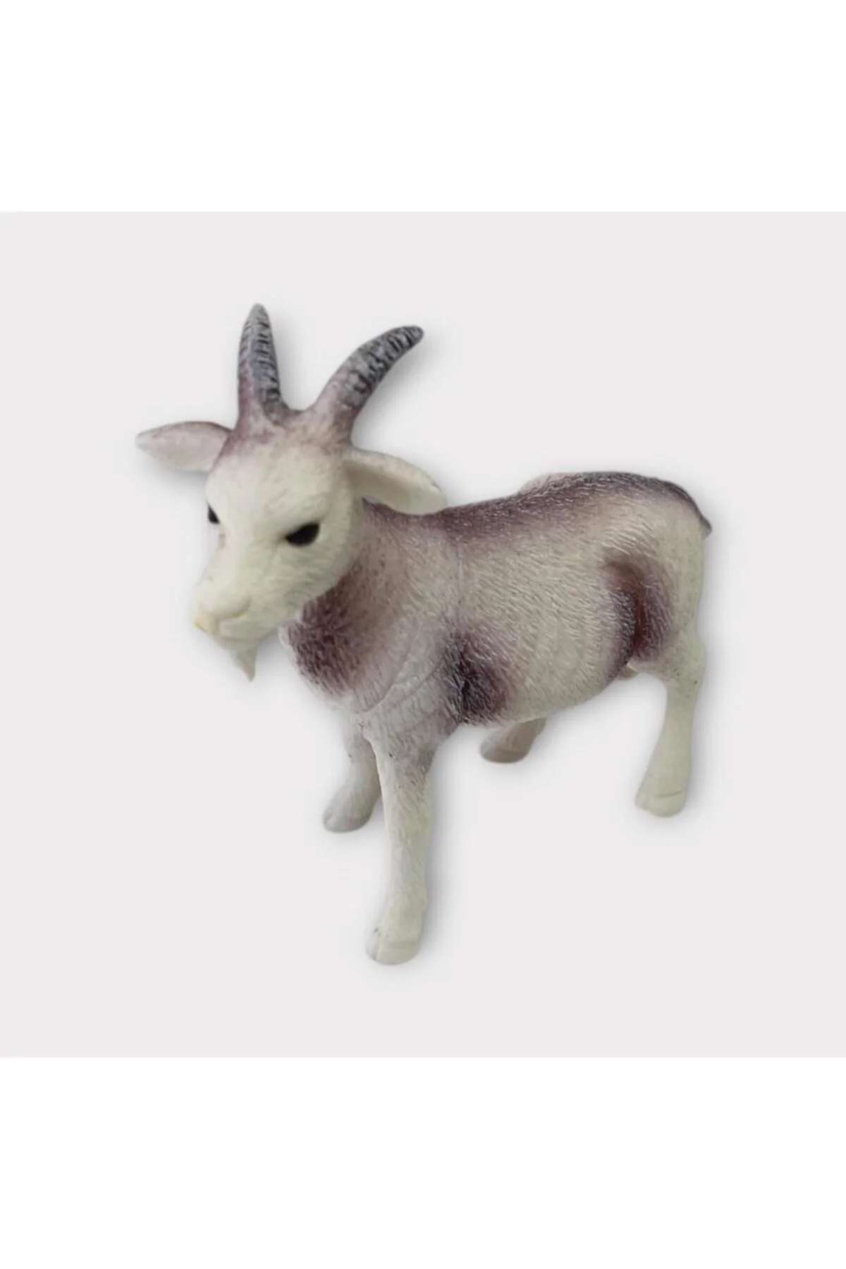 Çiftlik Hayvanları - Keçi (Lisinya)