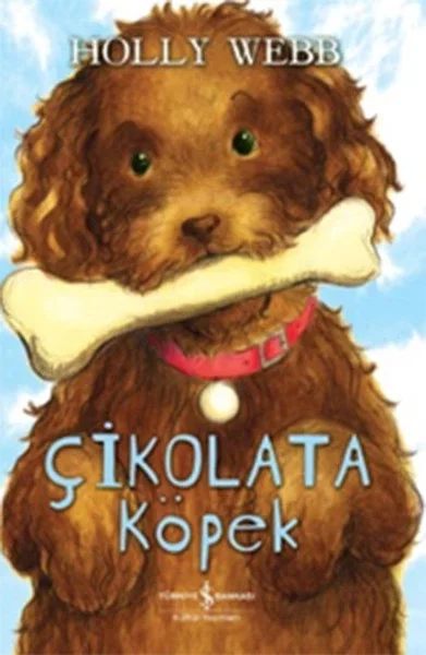 Çikolata Köpek Fiyatı, Yorumları ve Özellikleri