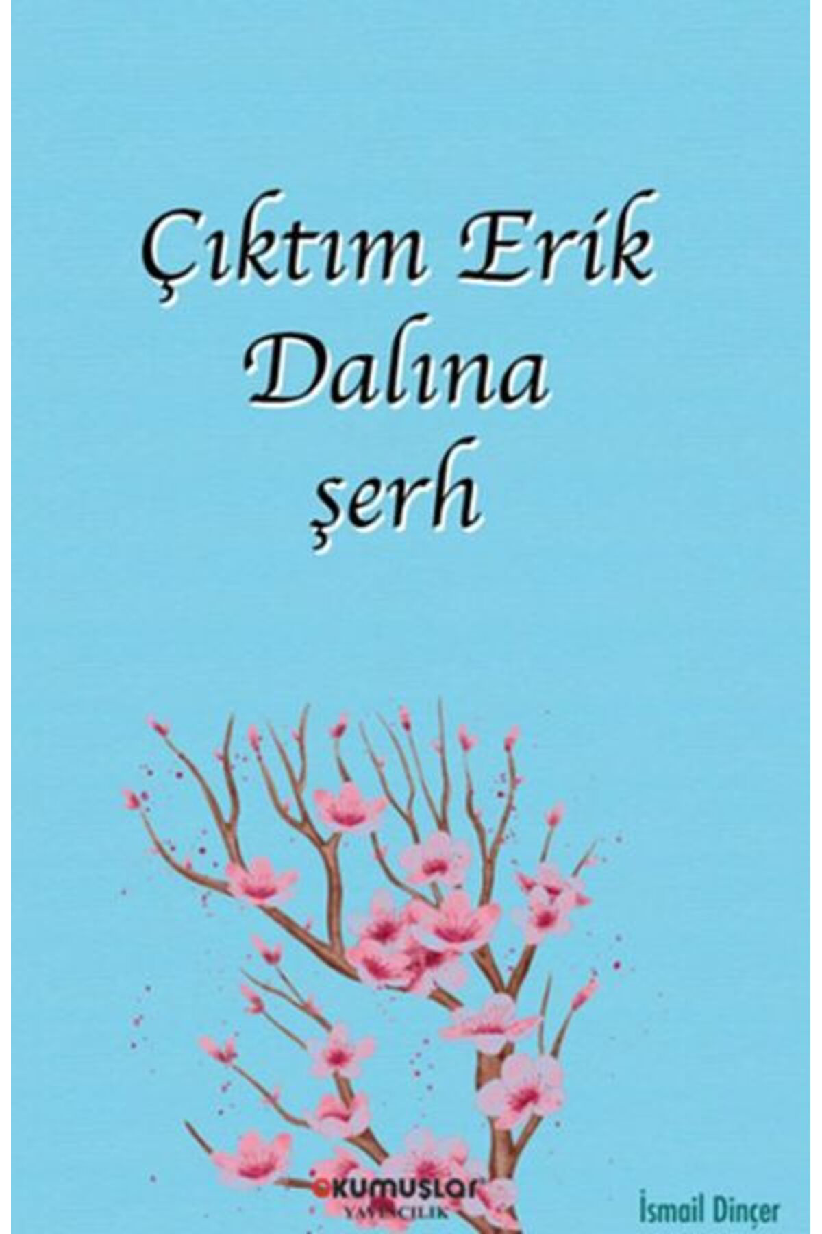 Ercissahaf Çıktım Erik Dalına Şerh