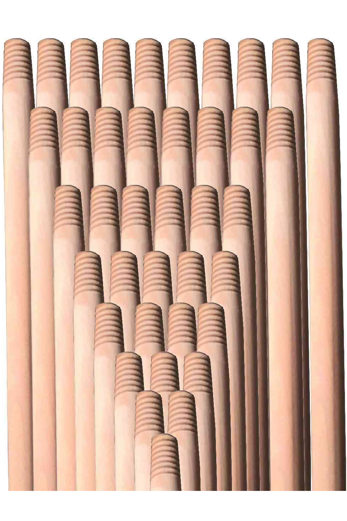 Just Cheap Store Cilasiz Gürgen Sap Ekstra 120 Cm 1 Adet 297