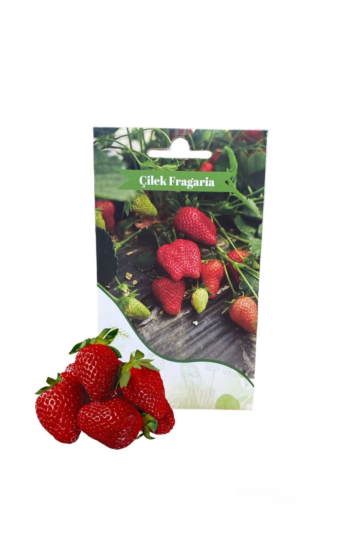 Çilek Fragaria Tohumu 100 Adet