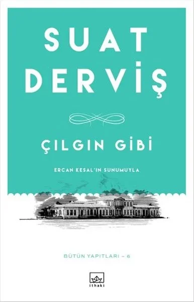 Çılgın Gibi Fiyatı, Yorumları ve Özellikleri