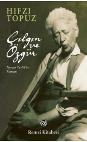 Çılgın ve Özgür Fiyatı, Yorumları ve Özellikleri