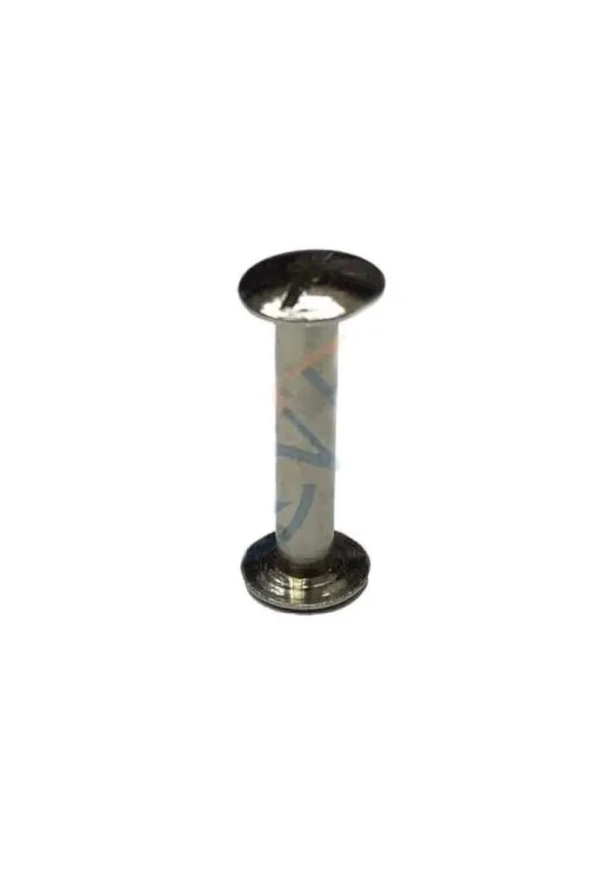 Cilt Menü, Katalog, Kartela Vidası, 20 Mm - Nikel, 1 Adet
