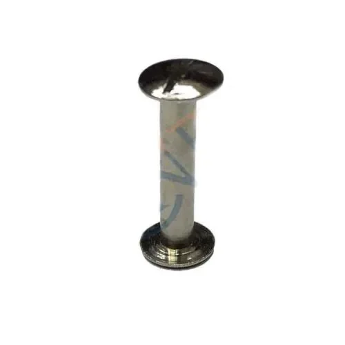 Cilt Menü, Katalog, Kartela Vidası, 20 Mm - Nikel, 100 Adet