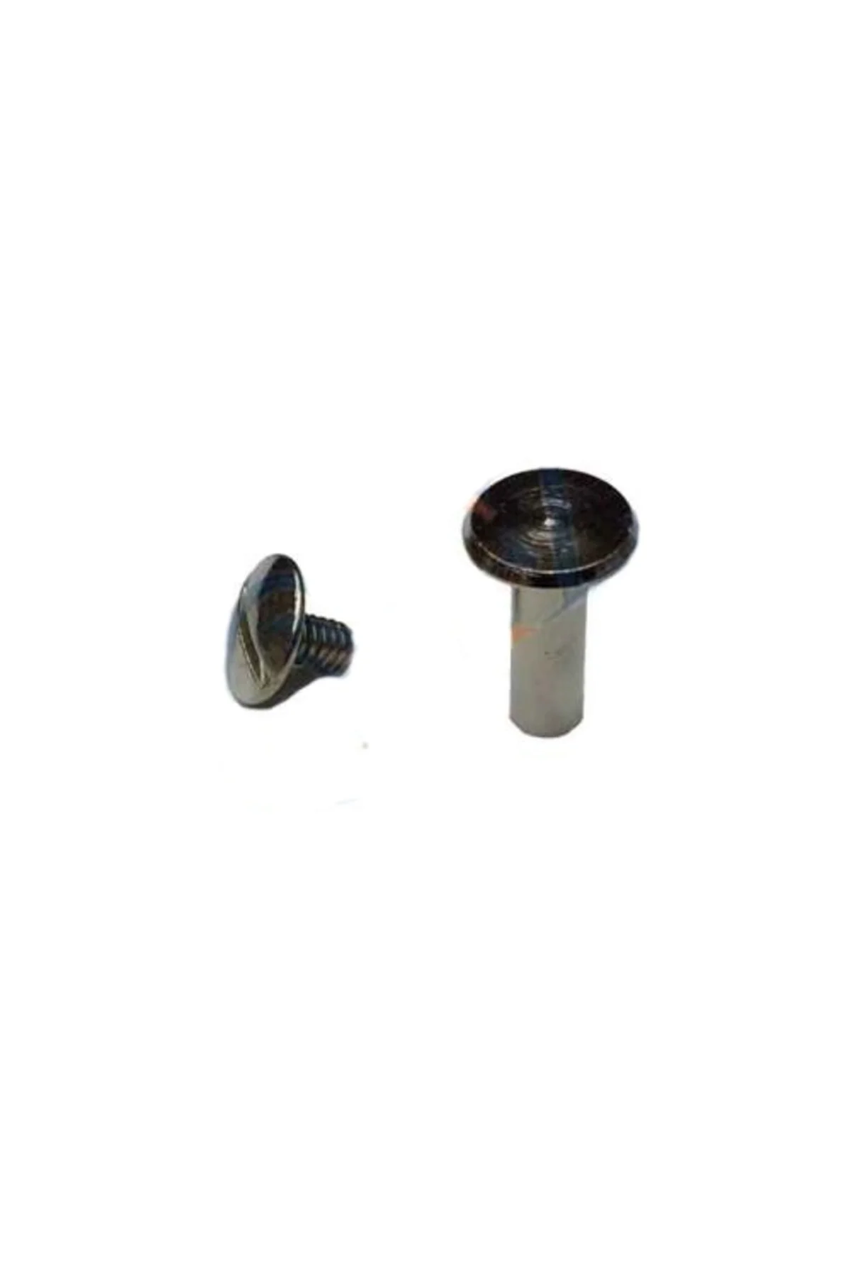 Cilt Menü, Katalog, Kartela Vidası, 6 Mm - Nikel, 100 Adet Cilt Menü, Katalog, Kartela Vidası, 6 Mm - Nikel, 100 Adet