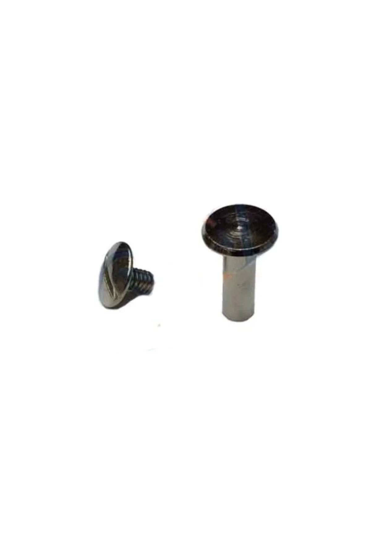 Cilt Menü, Katalog, Kartela Vidası, 9 Mm - Nikel, 1 Adet
