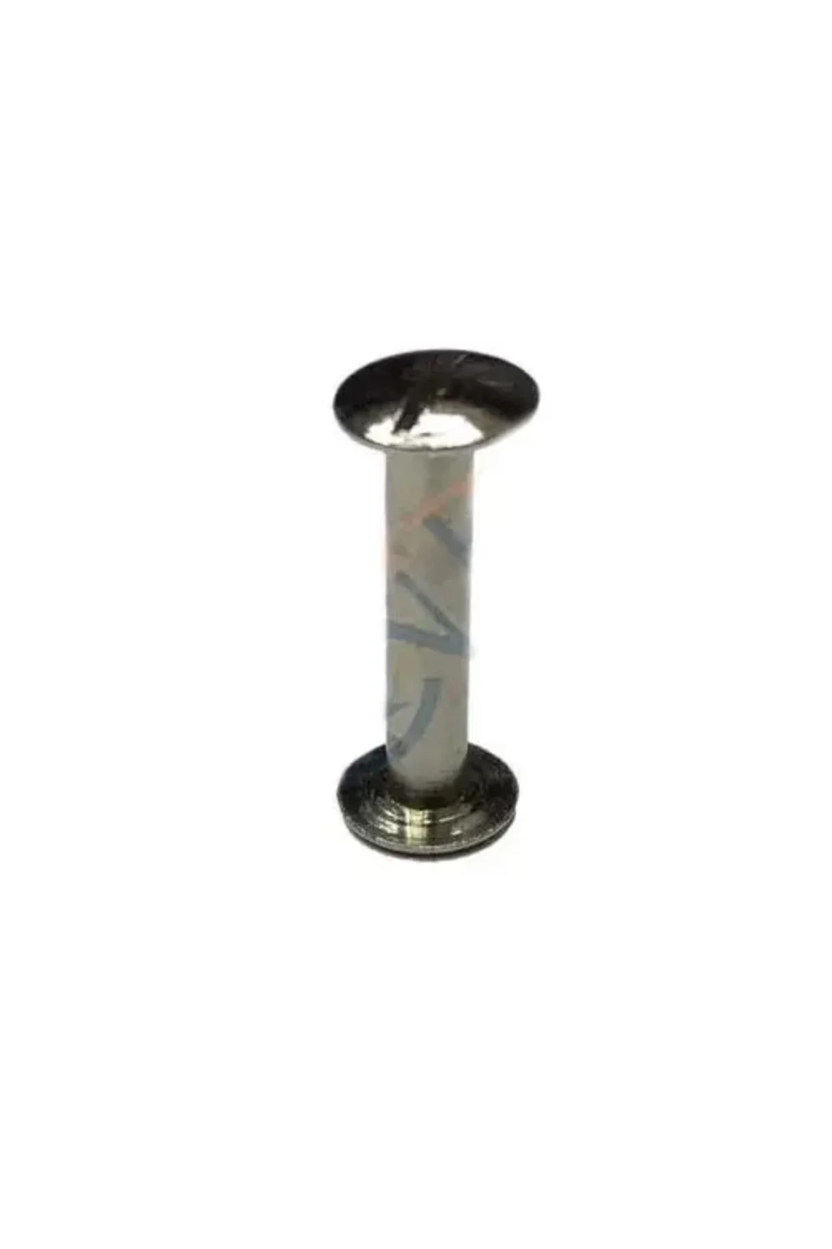 Cilt Menü, Katalog, Kartela Vidası, 20 Mm - Nikel, 1 Adet