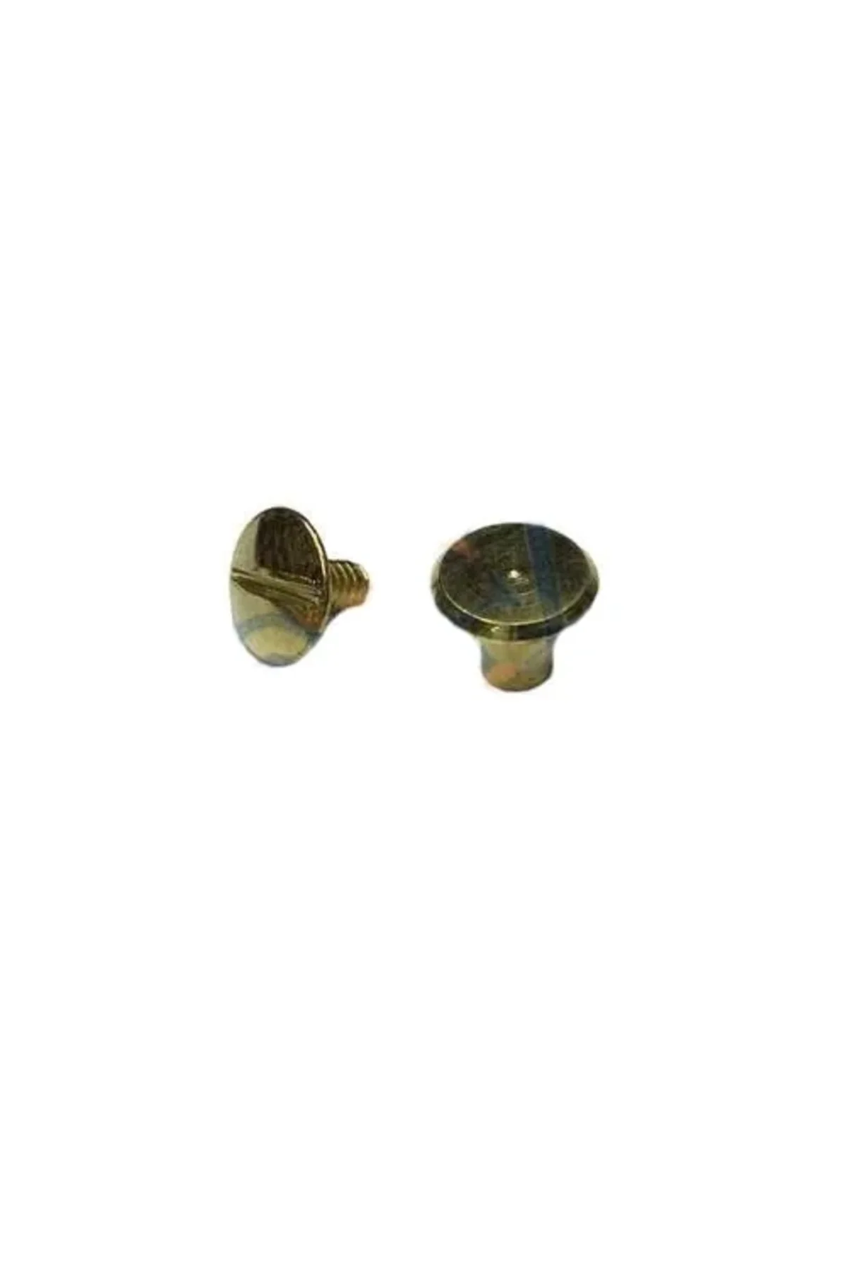 Cilt Menü, Katalog, Kartela Vidası, 6 Mm - Sarı, 100 Adet