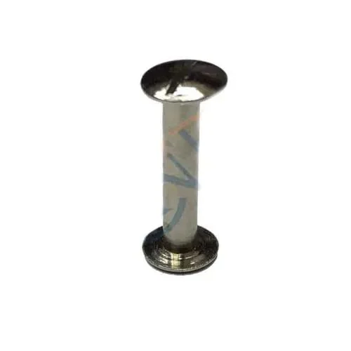 Cilt Vida 20mm Nikel - Menü, Katalog ve Kartela Bağlama Vidalı Fiyatı, Yorumları ve Özellikleri