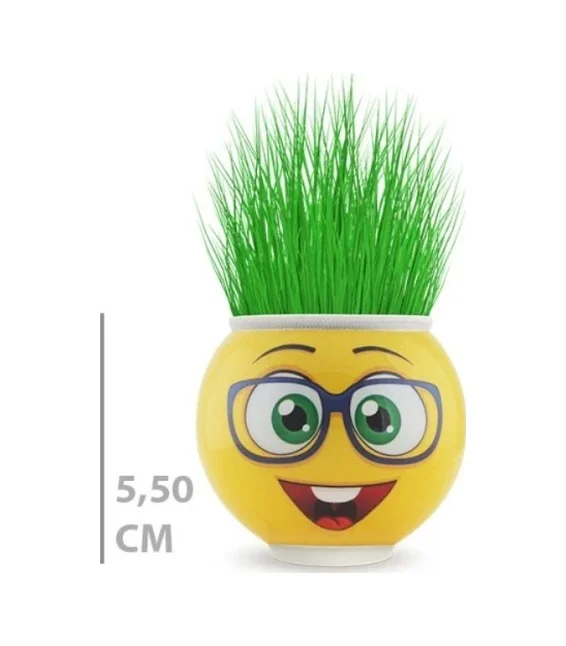 Çim Adam Saksı Emoji Figürlü 1 Adet