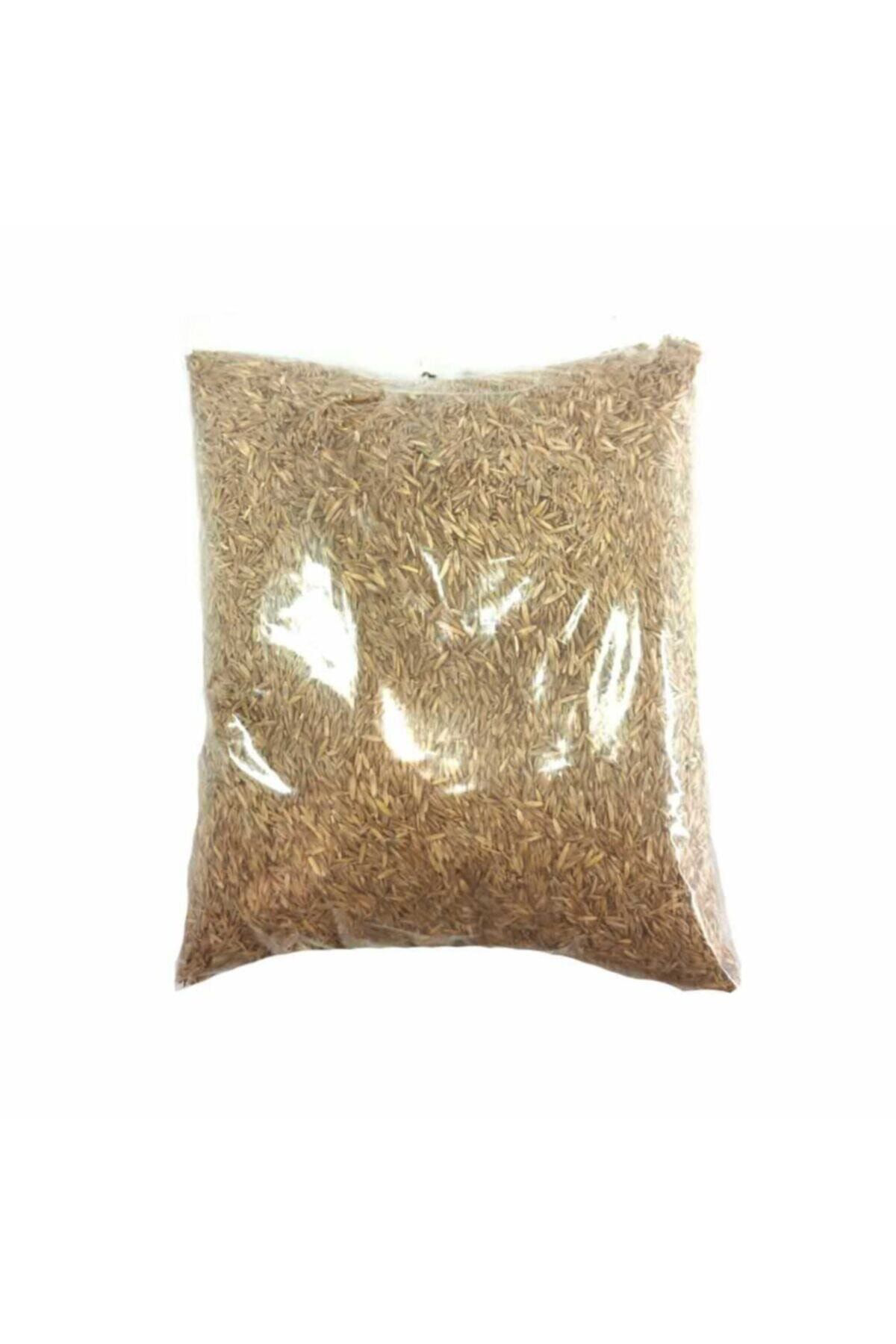 Çim Tohumu (500 Gr)