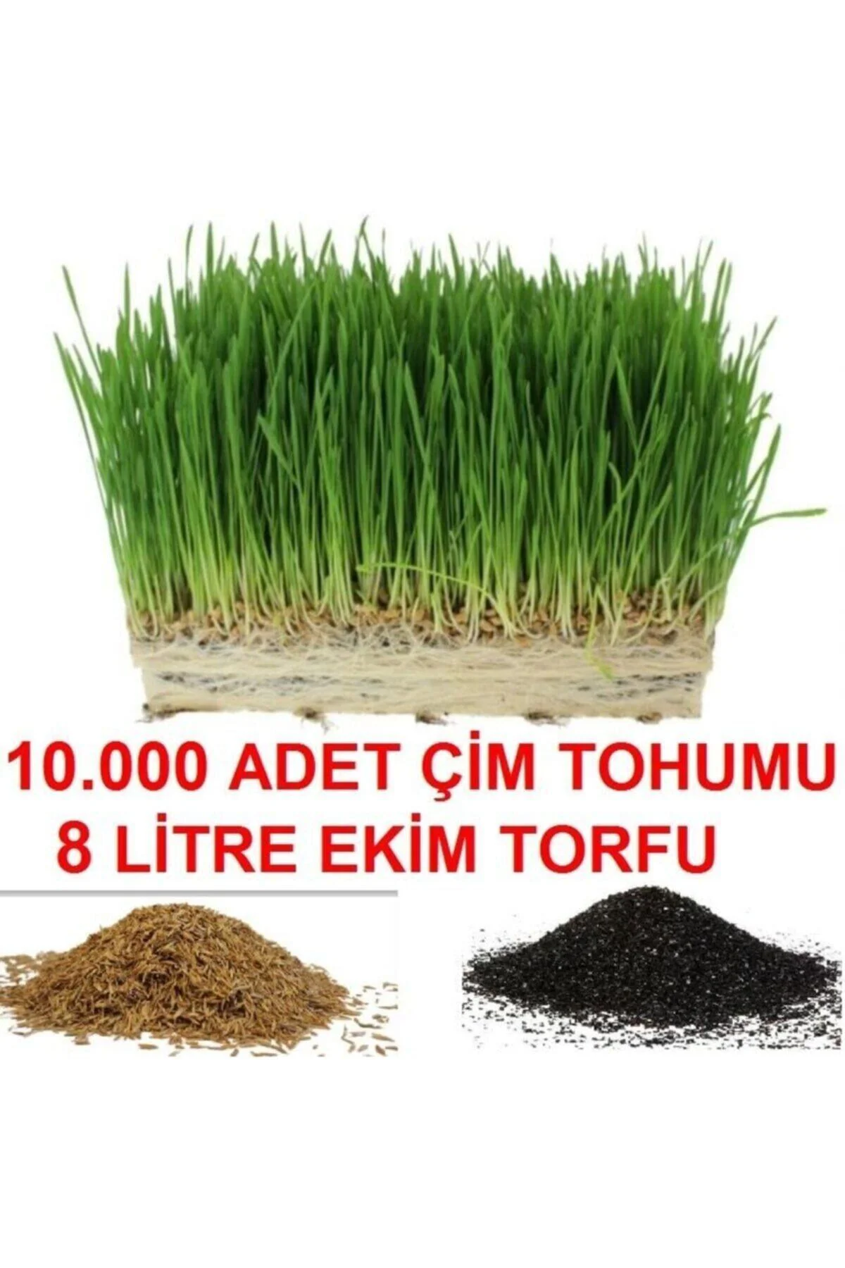 Çim Tohumu Ve Çim Ekim Torfu + Hediye Üzüm Fidanı Tohumları