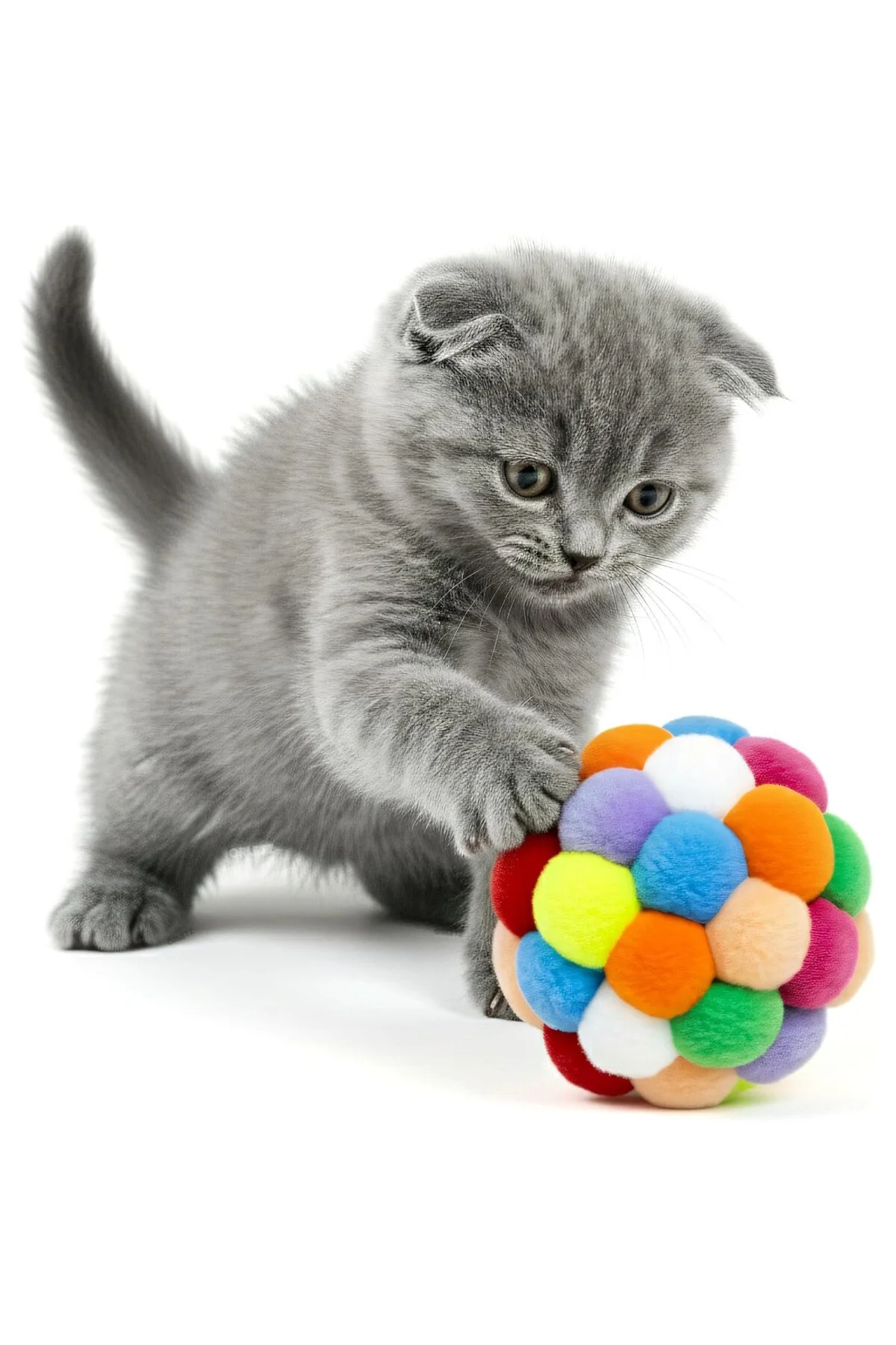 Çıngıraklı Ponpon Kedi Oyuncağı - Renkli İnteraktif Peluş Top - Zilli Yuvarlanan Kedi Topu