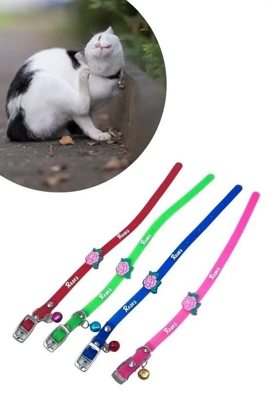 Çıngıraklı Zilli Sevimli Renkli Slikon Kedi Köpek Boyun Tasması Fiyatı, Yorumları ve Özellikleri
