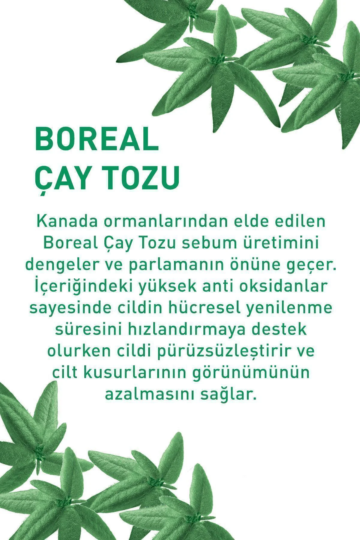 Çinko&Salisilik Asit,Antioksidan,Yağ Dengeleyici Serum-SeboPureVe