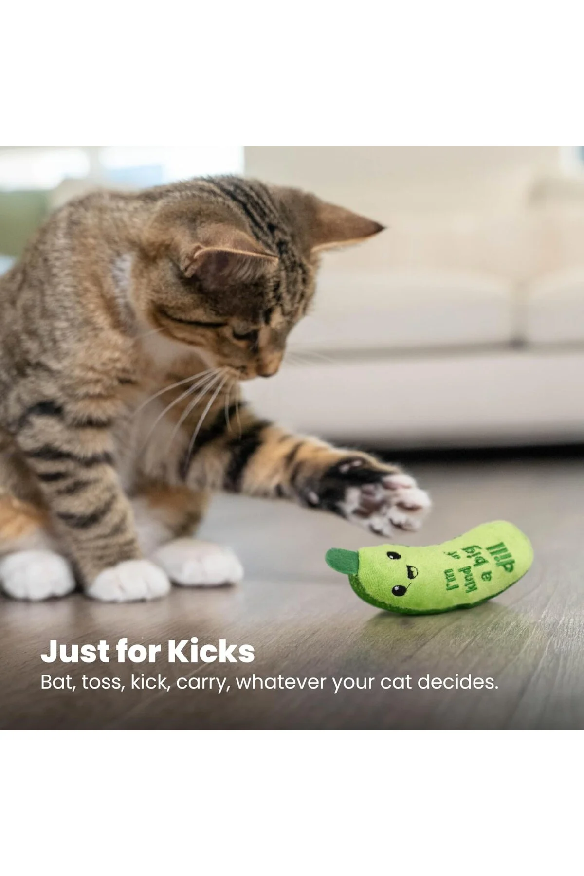 Çıtır Turşu Kicker Diş Catnip Kedi Oyuncak