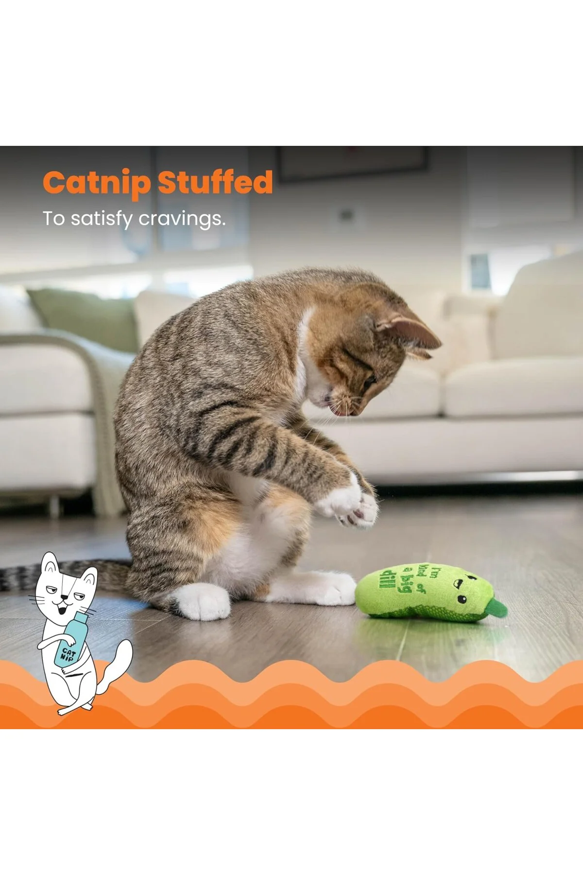Çıtır Turşu Kicker Diş Catnip Kedi Oyuncak