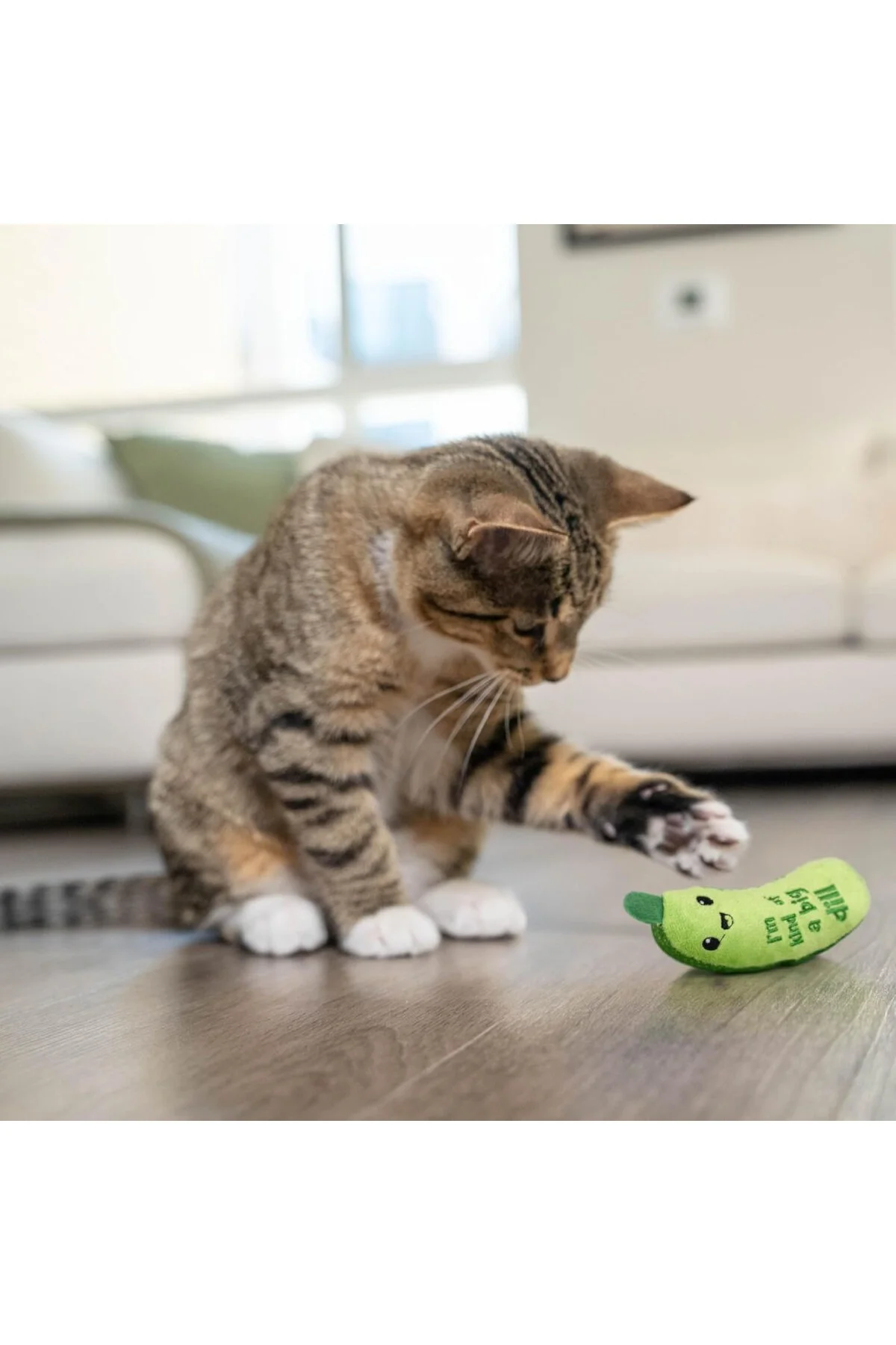 Çıtır Turşu Kicker Diş Catnip Kedi Oyuncak