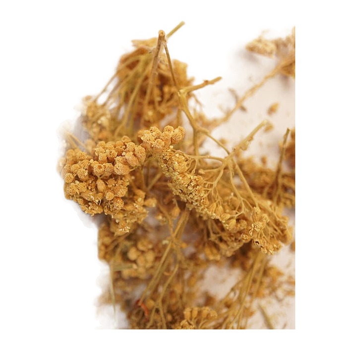 Aktar Civan Perçemi Dökme