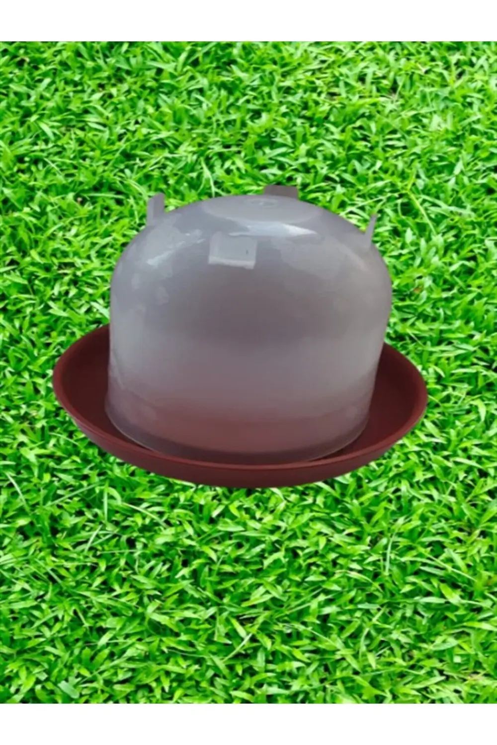 Civciv Suluğu 1,5 Lt (civciv Keklik, Bıldırcın Ve Diğer Kanatlı H