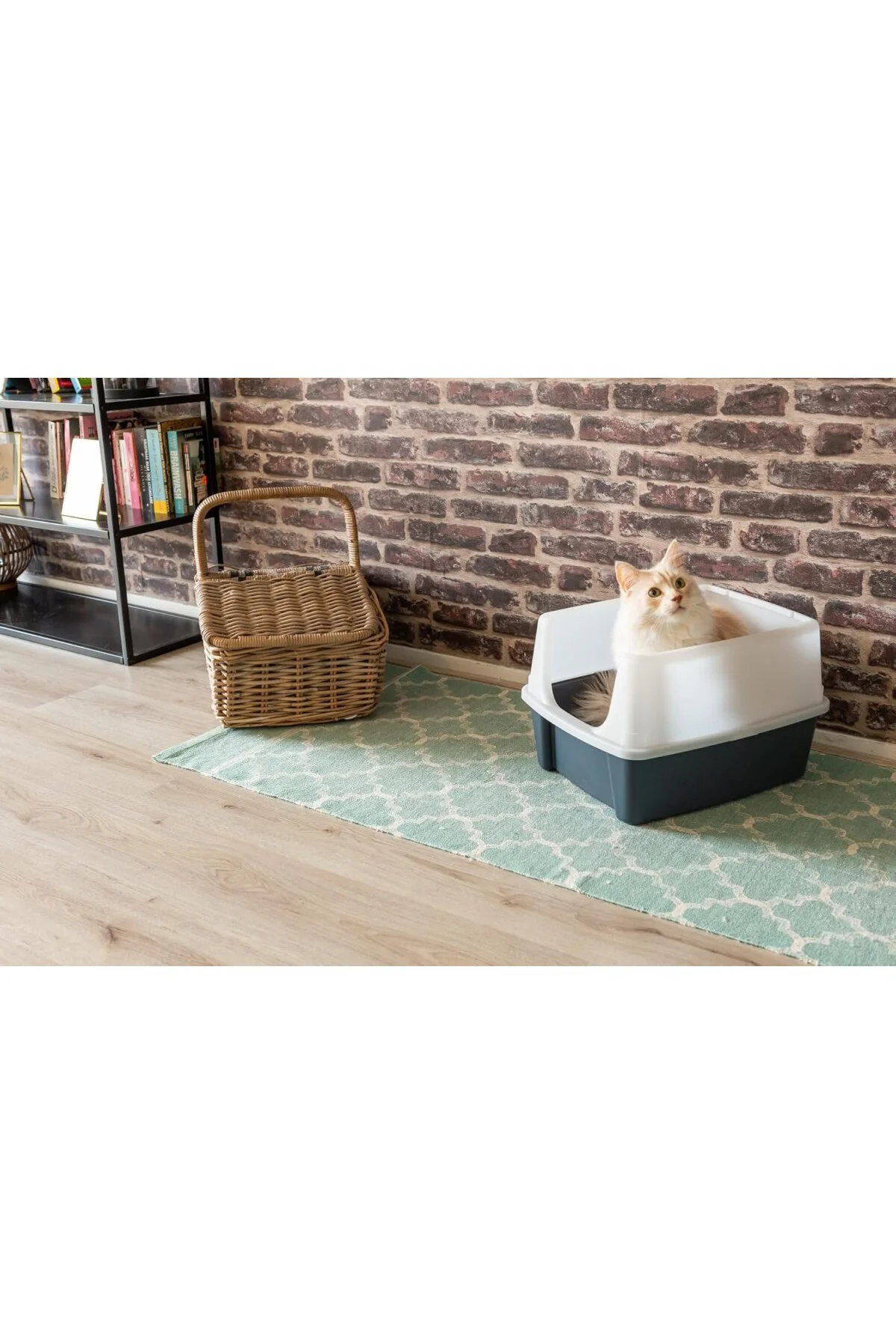 CLH-12 kedi tuvaleti, kürekli, 7 kg'a kadar, gri, açık, kapaksız,