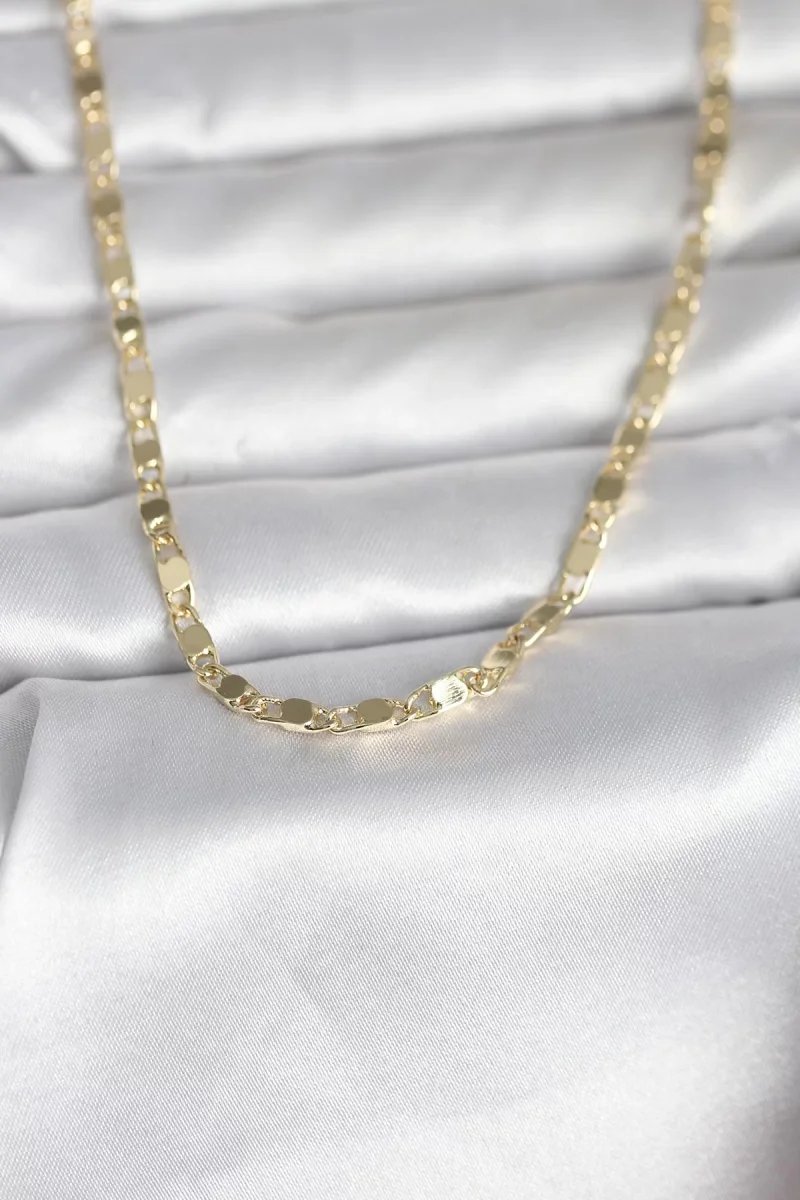 CM 14K Gold Renk Arpa Model 45 cm Kadın Kolye - Lisinya
