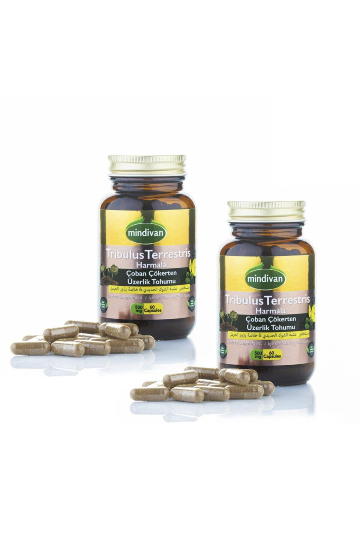 Mindivan Çoban Çökerten Üzerlik Tohumu Ekstresi 2 Adet