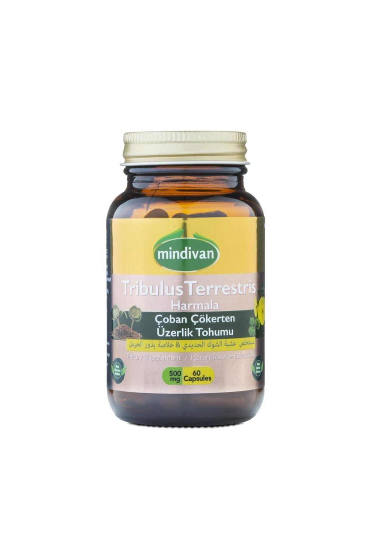 Mindivan Çoban Çökerten Üzerlik Tohumu Ekstresi 60 Kapsül 500Mg 2 Adet