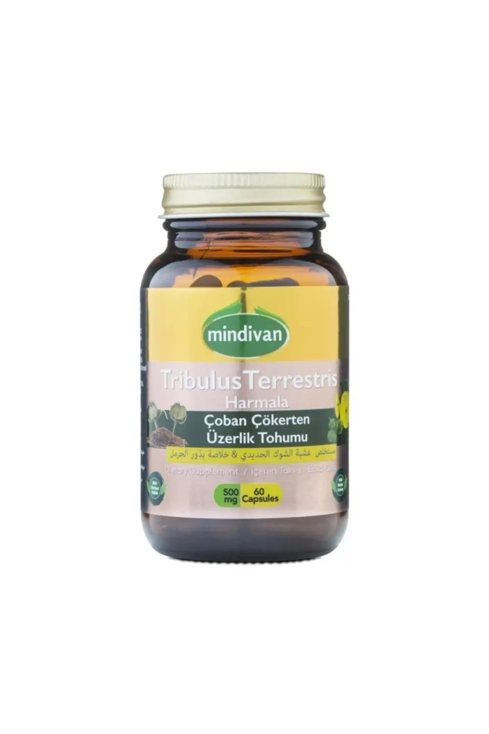 Çoban Çökerten Üzerlik Tohumu Ekstresi 60 Kapsül 500mg 2 Adet