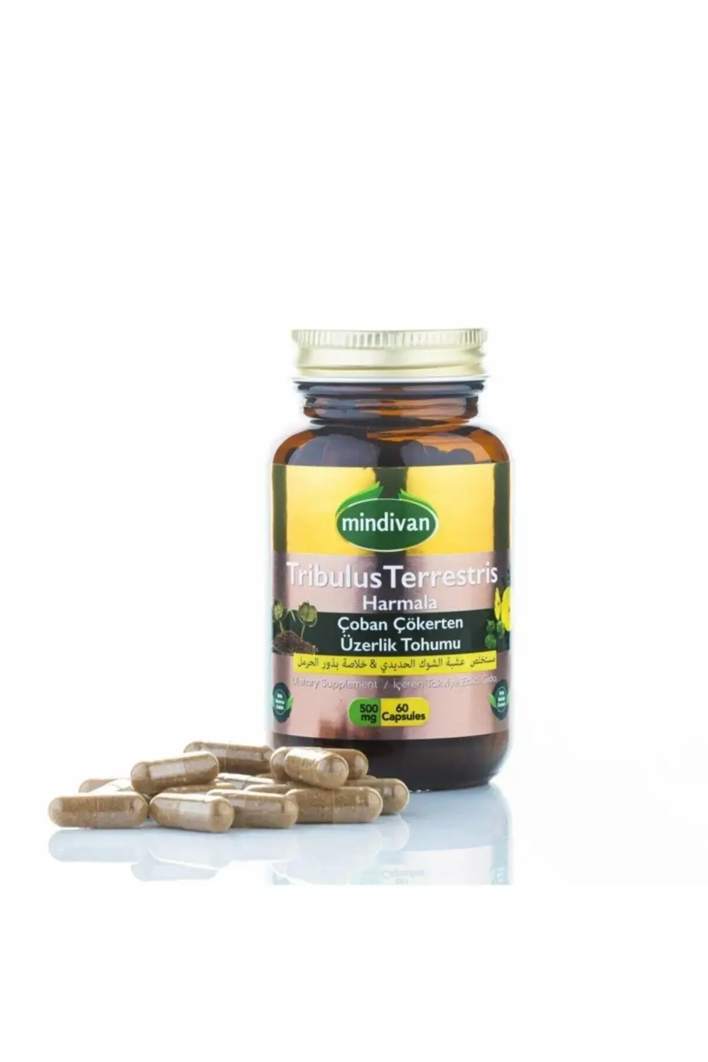 Çoban Çökerten Üzerlik Tohumu Ekstresi 60 Kapsül 500mg 2 Adet