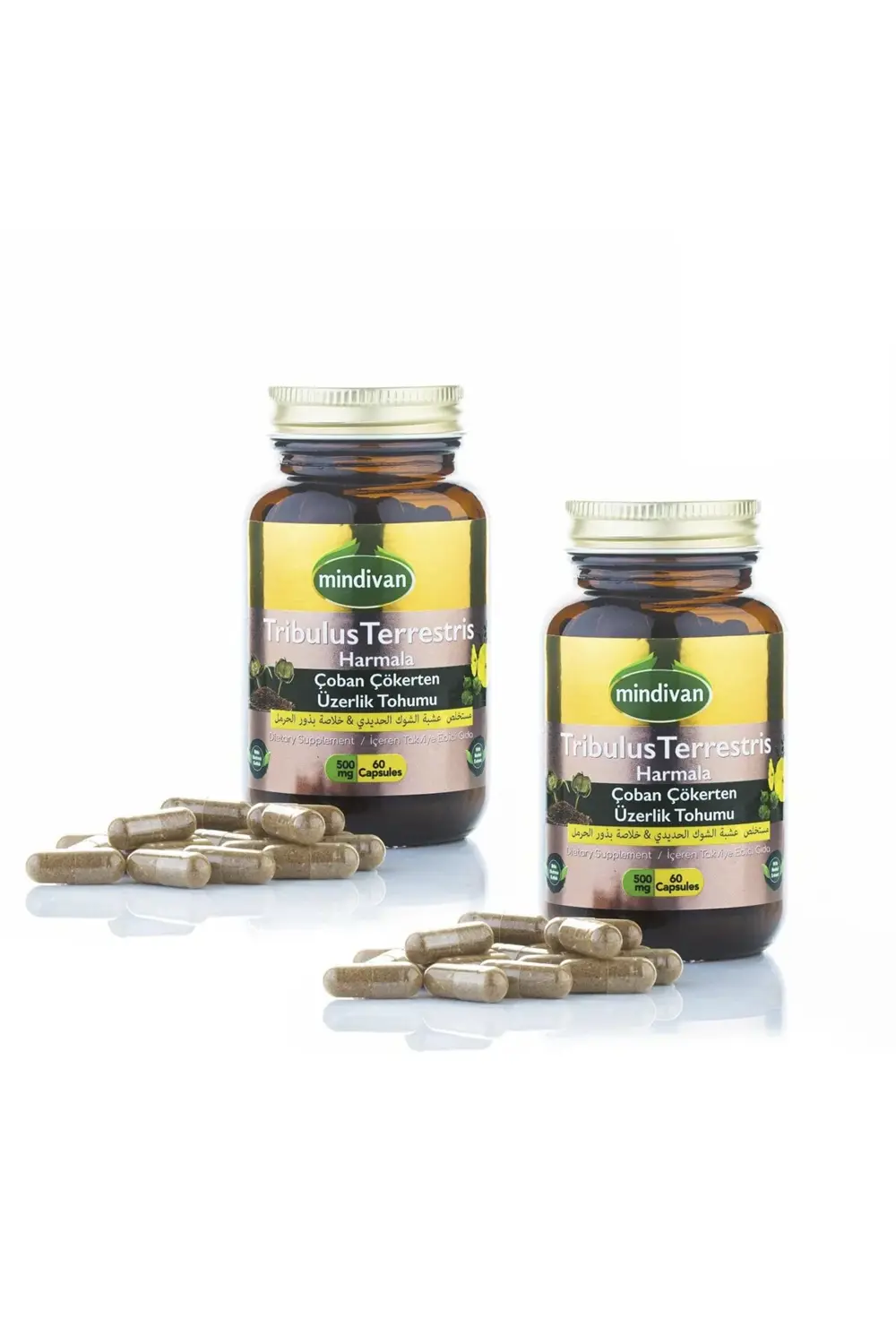 Çoban Çökerten & Üzerlik Tohumu Ekstresi X 2 Adet