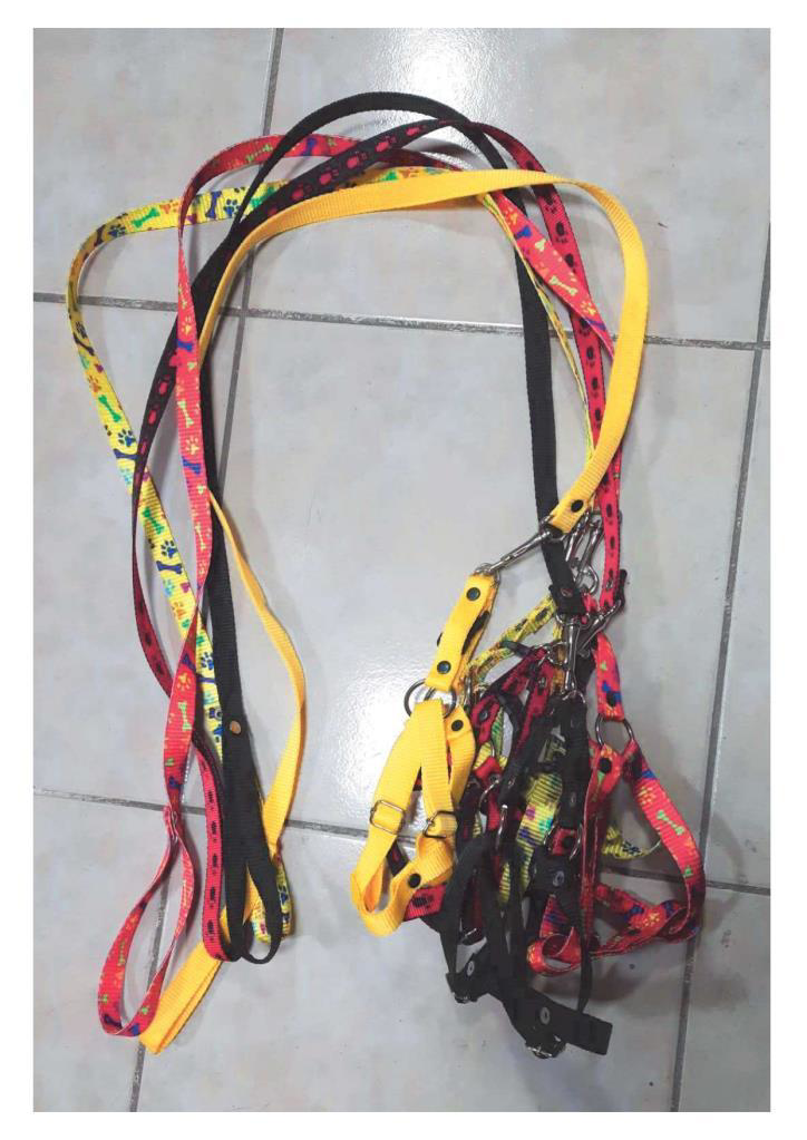 Coco Pet No:2 Ayarlanır Köpek Takım Tasma KARIŞIK RENK 33-50 cm