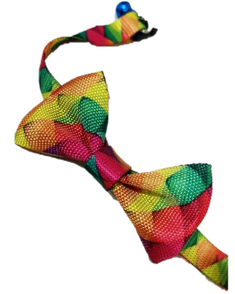 Coco Pet  Papyon Çok Renkli Desenli Ayarlanabilir Kedi Ve Minik Kö