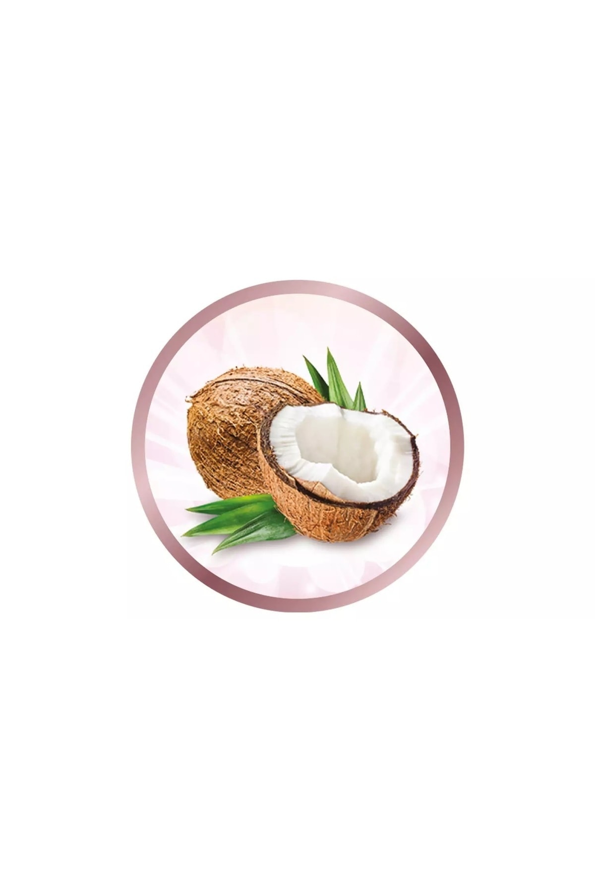 Coconut Hava Üflemeli Saç Şekillendirici Fön Tarağı
