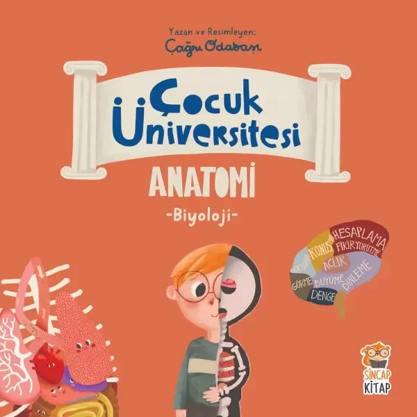 Çocuk Üniversitesi Biyoloji - Anatomi Fiyatı, Yorumları ve Özellikleri