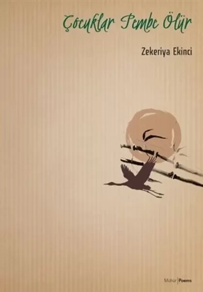 Çocuklar Pembe Ölür Fiyatı, Yorumları ve Özellikleri