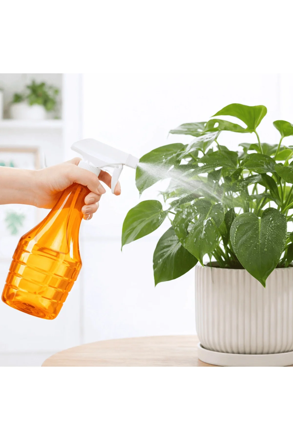Çok Amaçlı Fısfıs Çiçek Sulama Şeffaf Su Sprey Şişesi 500 Ml Çok Amaçlı Fısfıs Çiçek Sulama Şeffaf Su Sprey Şişesi 500 Ml - Görsel 3