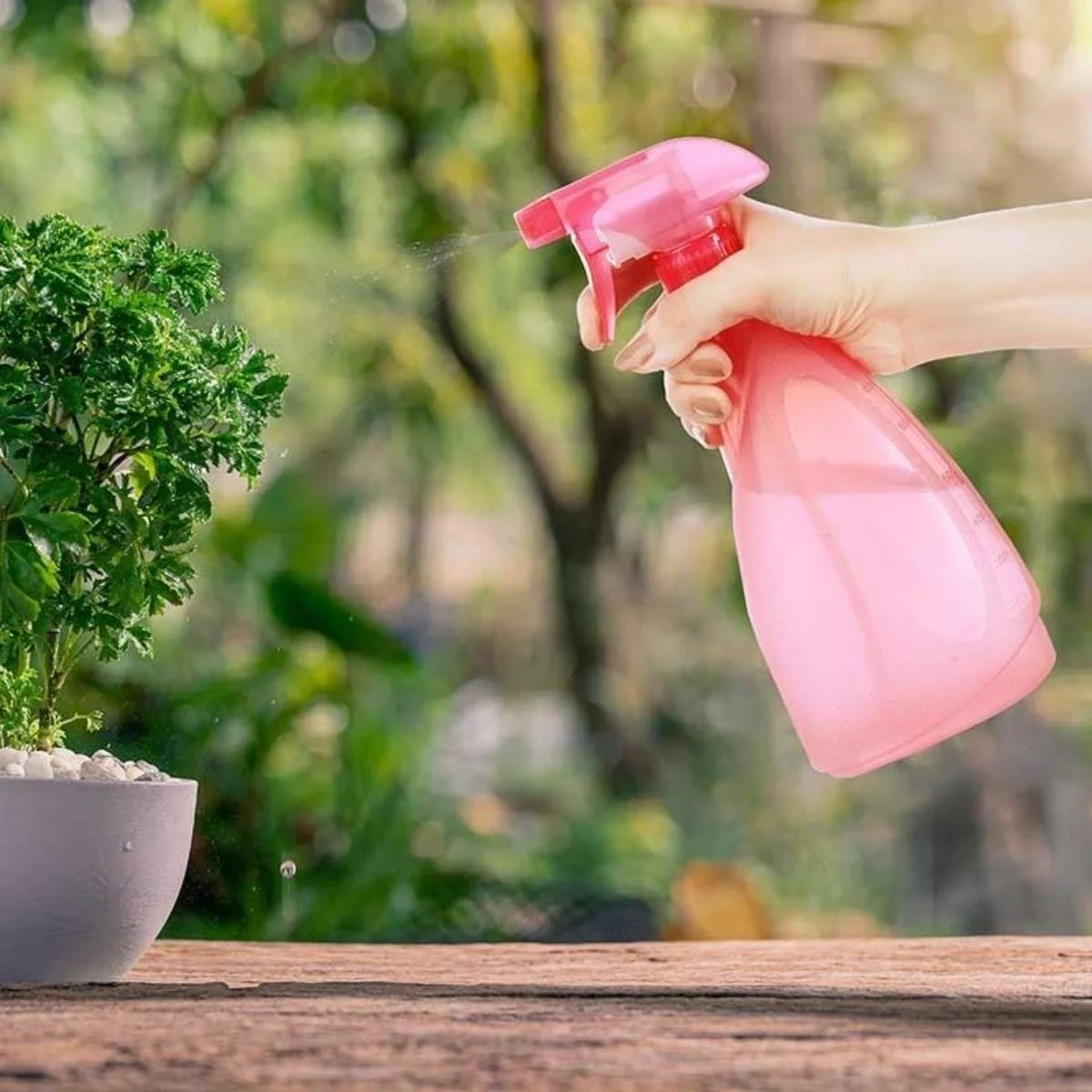 Çok Amaçlı Fısfıs Çiçek Sulama Plastik Su Sprey Şişesi 700 Ml Tp-219 Bx40 Fiyatı, Yorumları ve Özellikleri