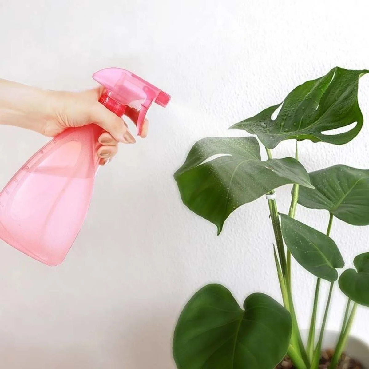 Çok Amaçlı Fısfıs Çiçek Sulama Plastik Su Sprey Şişesi 700 ml TP-219 - 1 Adet Stokta Olan Renk Gönderilir