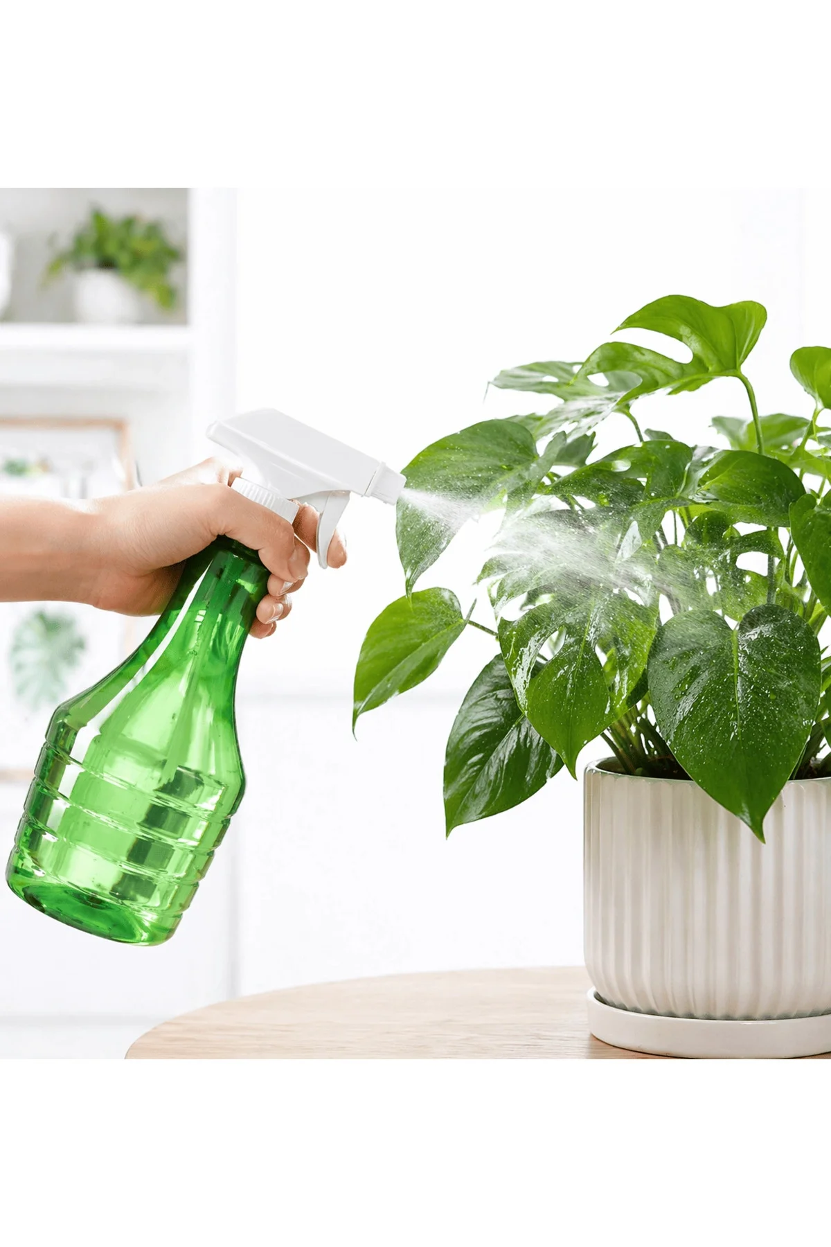 Çok Amaçlı Fısfıs Çiçek Sulama Şeffaf Su Sprey Şişesi 500 Ml Çok Amaçlı Fısfıs Çiçek Sulama Şeffaf Su Sprey Şişesi 500 Ml - Görsel 5