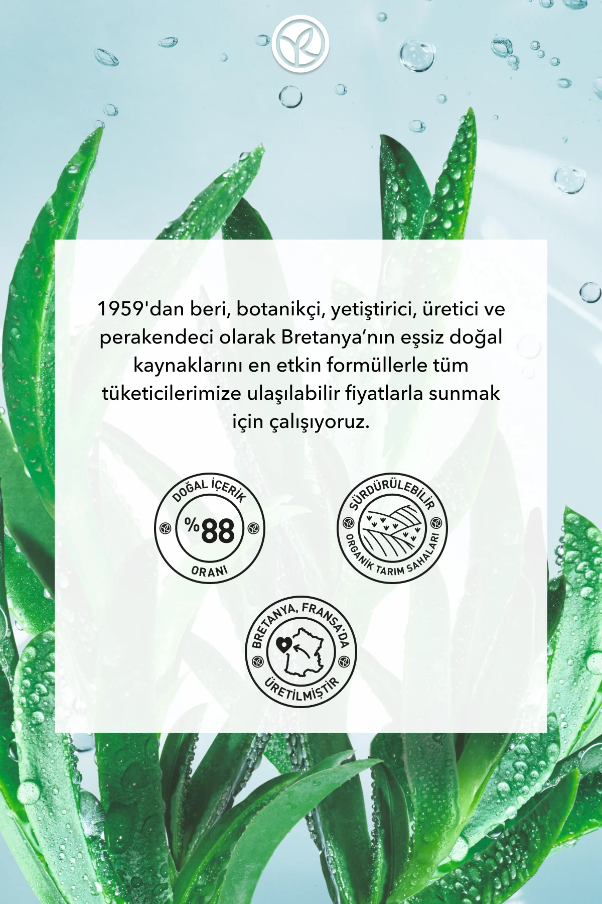 Çok Kuru Cilt, Aloe Vera&Üre&Shea, Yoğun Krem-Hydra Vegetal Bitki