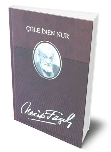 Çöle İnen Nur (Deri Ciltli) Fiyatı, Yorumları ve Özellikleri