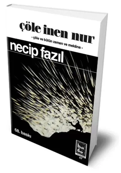 Çöle İnen Nur (Hatıra Baskısı) Fiyatı, Yorumları ve Özellikleri